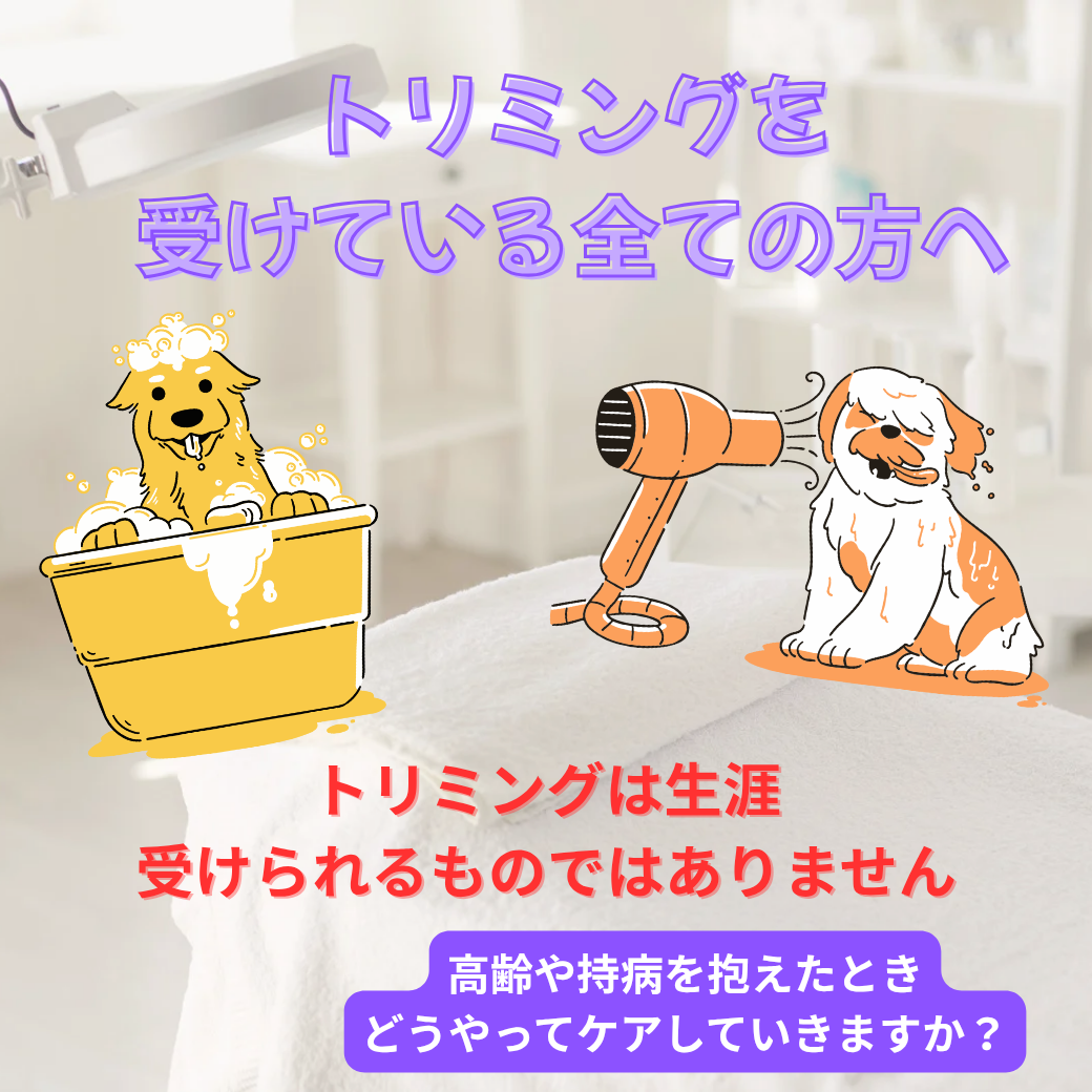 高齢犬のトリミングについて - 相模原の犬猫専門動物病院「まみや動物